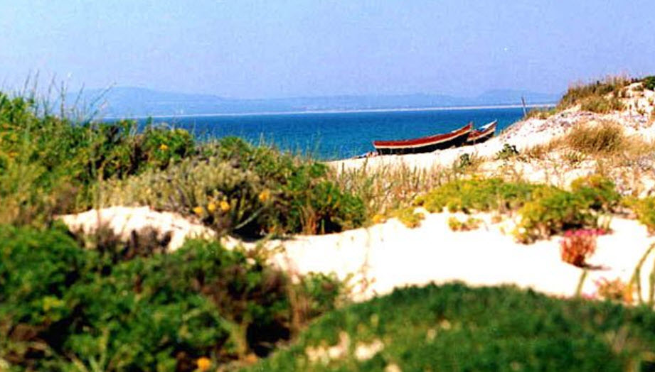 Carvalhal Beach, Portugal, Portugal